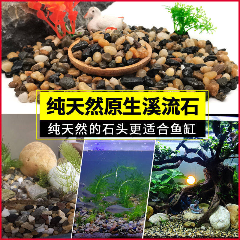 天然溪流石鹅卵石水族鱼缸水草多肉铺地面小石子原生河沙豆石花盆