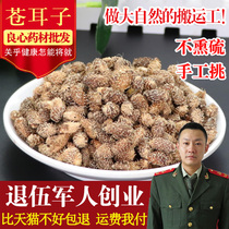 Chinese herbal medicine no wild Xanthium cattle lice Xanthium seed Xanthium seed 500g