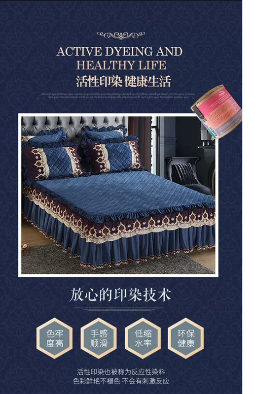 Pha lê nhung bông đơn giường ba mảnh mùa đông dày ấm san hô nhung bé nhung flannel đơn mảnh gối - Váy Petti 	chân váy giường
