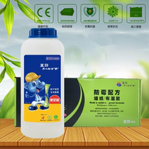 High-end blue feather anti-mildew glutinous rice glue wall covering special wallpaper wallpaper wall covering glue permeable base film wall treatment