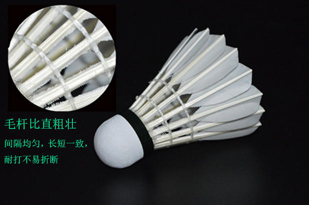 Đặc biệt cung cấp chính hãng Shuntong số 6 cầu lông N6 lông ngỗng bóng câu lạc bộ với một quả bóng tốt vợt cầu lông đơn