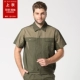 QD1304 Army Green Pindy Coffee Top с коротким рукавом
