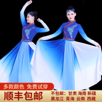 Mongolian dance practice skirt Mongolian performance suit adult half-length skirt Xinjiang Uighur practice clothing female new