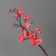 Взрослая модель [Rose Red Plum Blossom] Всего 38 см. Классический танец 