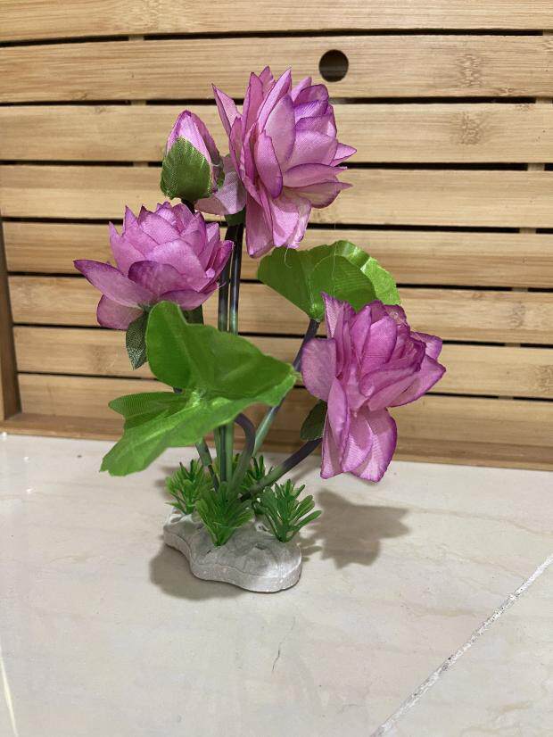 Refreshment Tree Shelf Sashimi Body Parquet Hem Tray Decorative Water Bead Simulation Lotus sushi Sushi Bamboo Curtain Race full of five