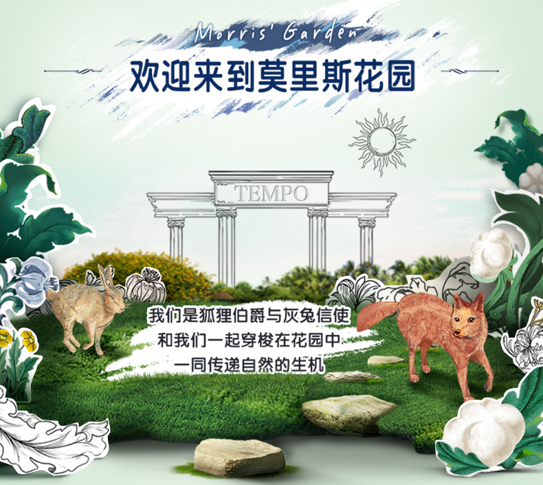 德国 得宝 洗脸巾 棉柔擦脸巾 60抽*3包 图3