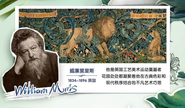 德国 得宝 洗脸巾 棉柔擦脸巾 60抽*3包 图2