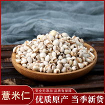 Chinese herbal medicine coix seed selection coix seed barley rice flour coix tea 50 grams Chinese herbal medicine shop