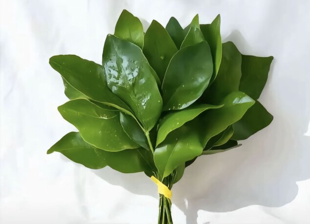 悠悠只卖正品