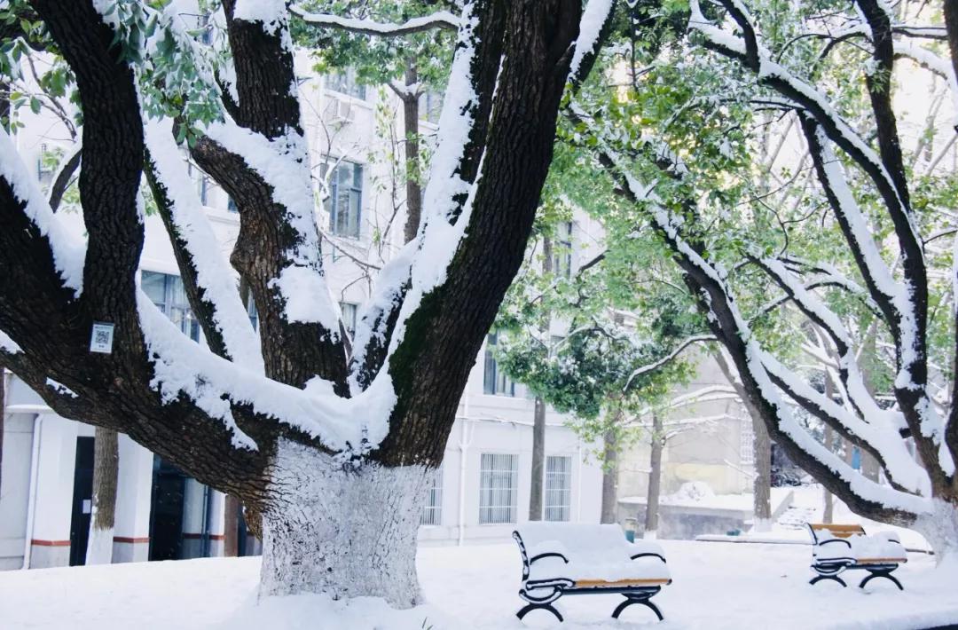 喜提2020第一场雪!雪后的江南美爆了34