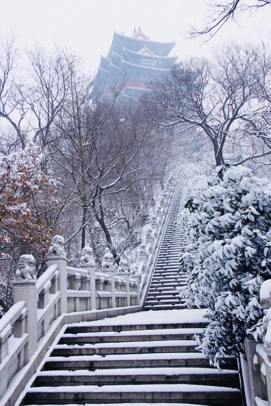 喜提2020第一场雪!雪后的江南美爆了25