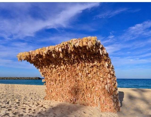 爱打扮(www.idaban.cn)，澳洲海边的“遮阳墙”，游客看后撒腿就跑9