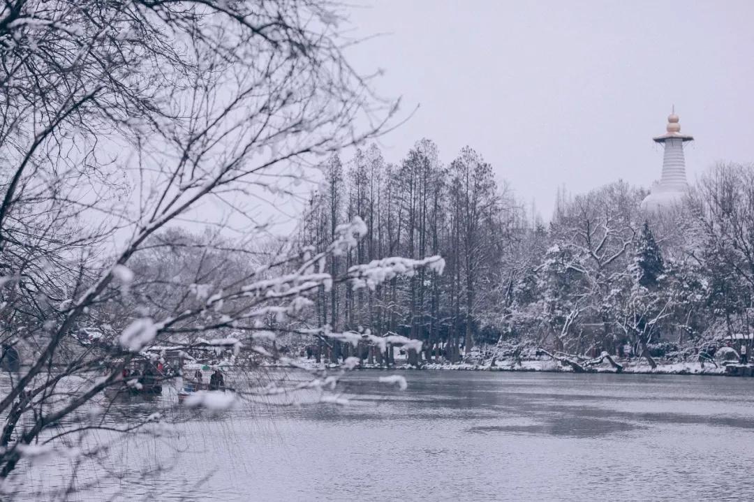 喜提2020第一场雪!雪后的江南美爆了46
