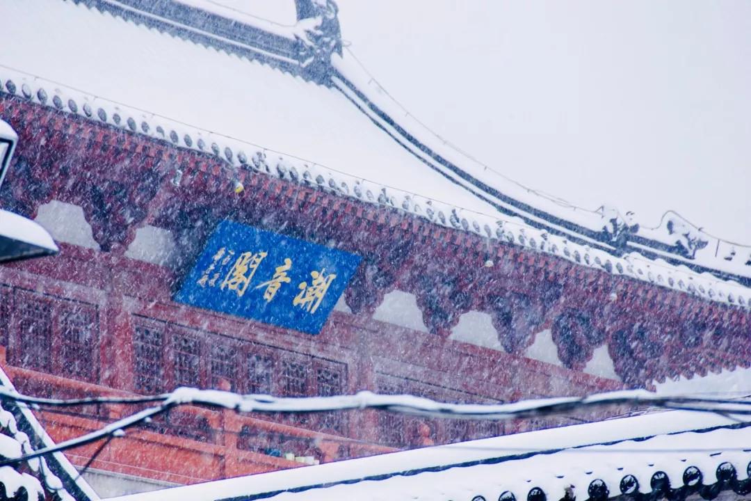 喜提2020第一场雪!雪后的江南美爆了7