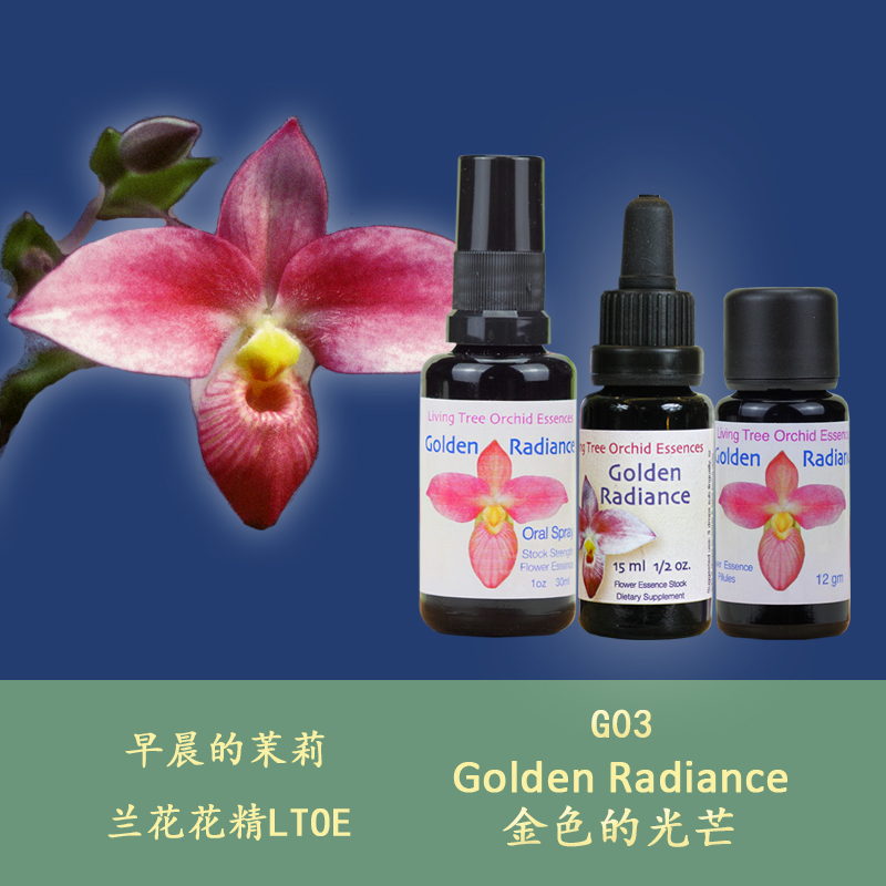 G03 golden glow beyond the gloomy inner bright British life tree Lanflower Blossom Essence liquid granules