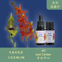 J02专注中心 优雅不受环境频率干扰英国生命之树兰花花精液体颗粒