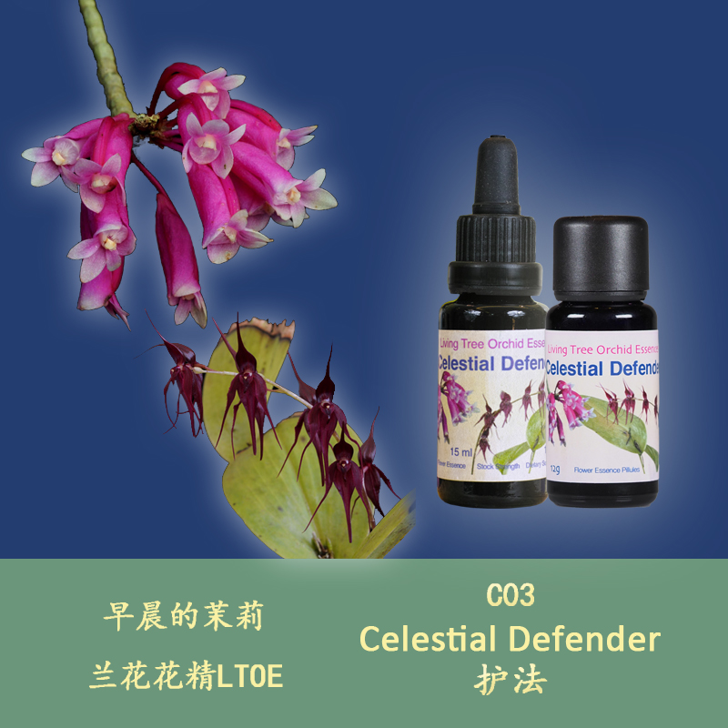 C03 hair care Brave to explore the stable gas field UK LTOE Life Tree Lanflower semen body granules