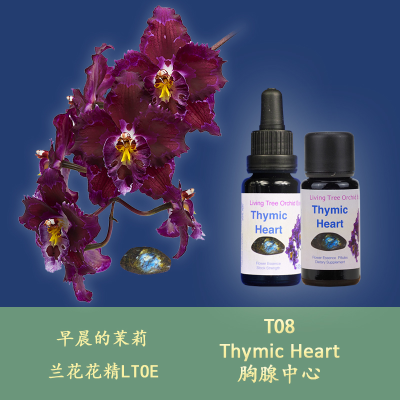 T08 Thymus Center Clear the blockage between the heart and the throat British LTOE Orchid Flower Essence Liquid Granules