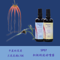 SP07 Active Flow Prevention Depression Little Lucky UK LTOE Orchid Flower Score 100 ml External Spray