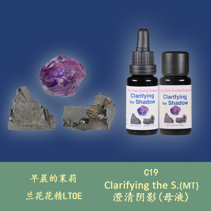 C19 Clarifies the shadow of British LTOE Life Tree Orchid Liquid Particles