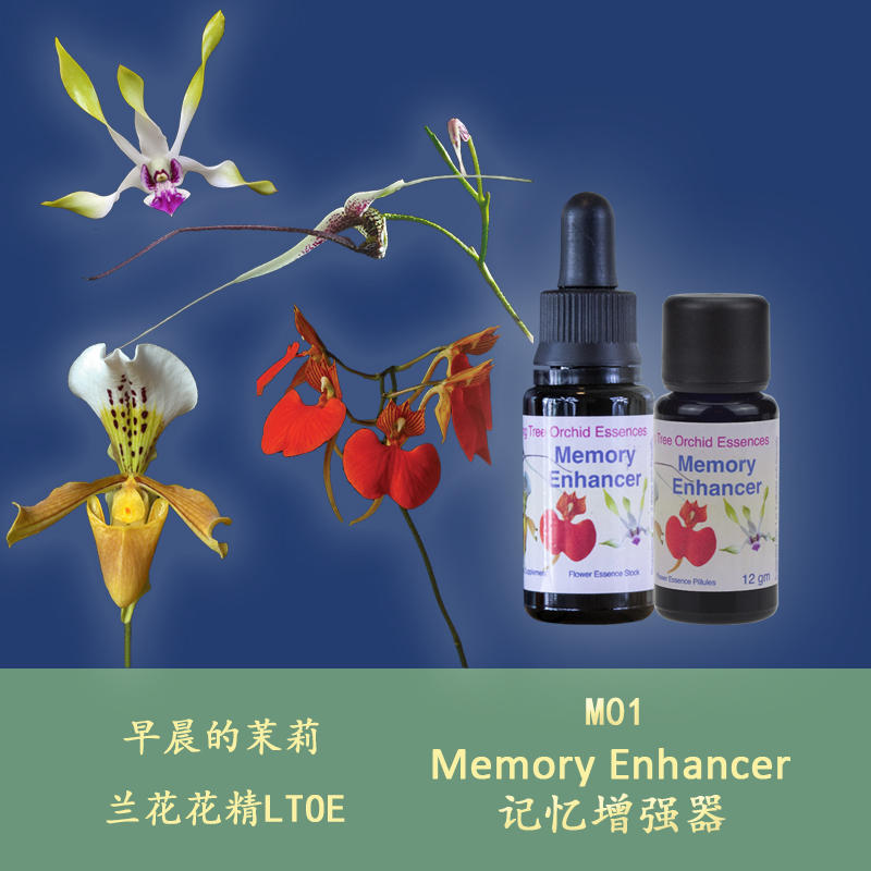 M01 memory intensifier emptying the brain to connect deep memory UK LTOE lanflower semen body granules
