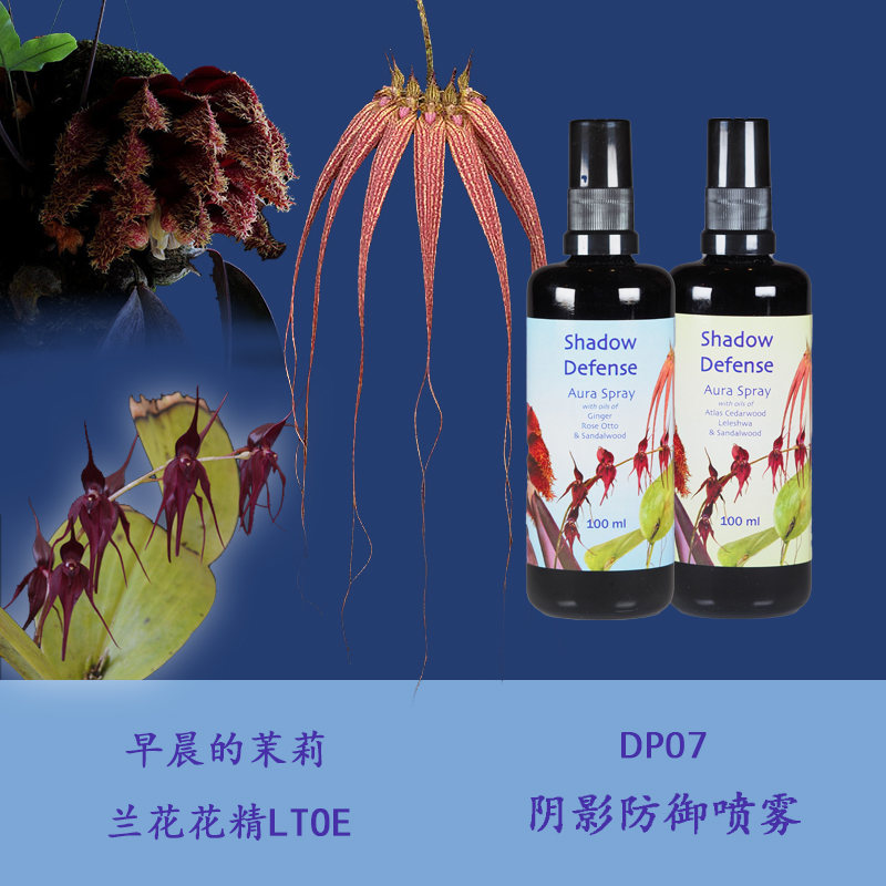 DP07 Shadow Defense Calm and detached sense of self-protection British orchid flower essence 100ml topical spray