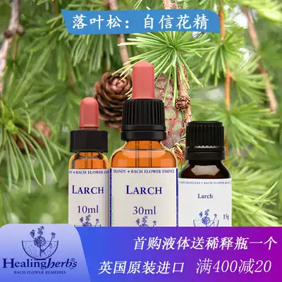 Larch Bach Beerbach flower essence wheel inferiority self-deprecation 10 30ml stock solution 15g granules