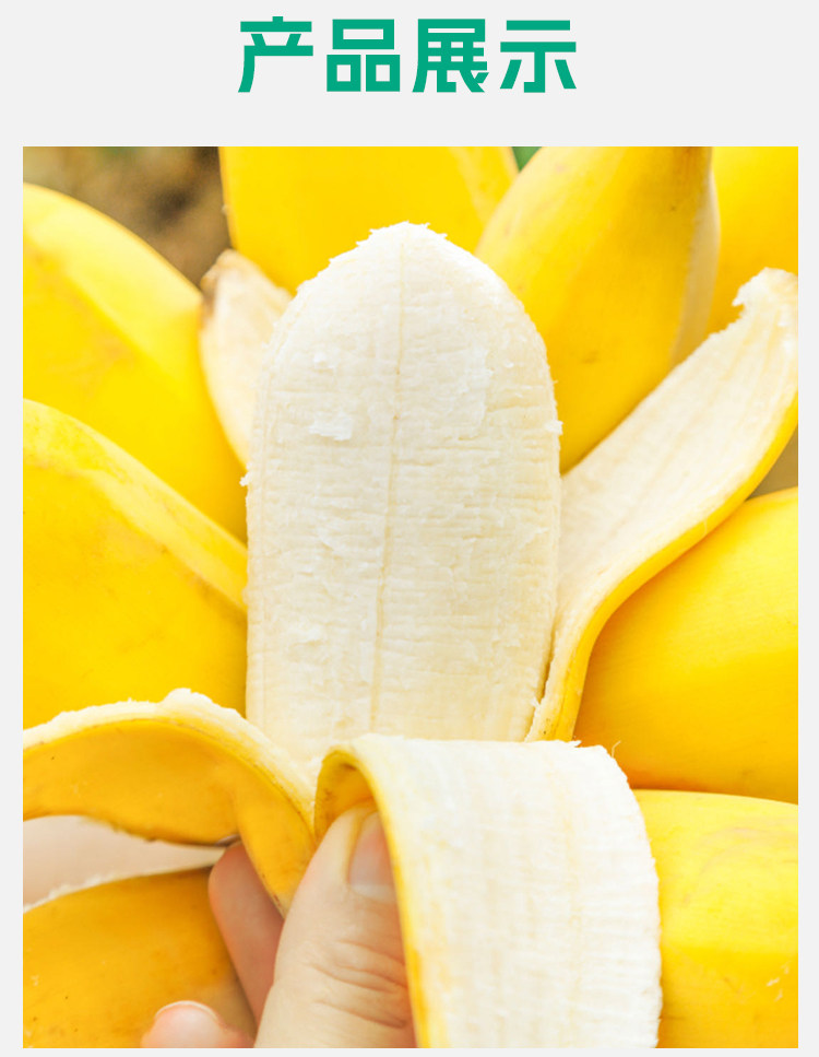 果丫头