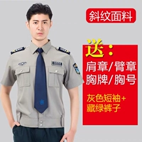 Серые короткие+летние штаны