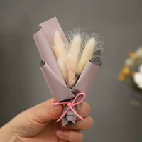 Хвост кролика