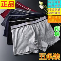 Hon Star Gram Pure Cotton Briefs Mens Pure Color Breathable SWEAT FULL COTTON LOOSE Youth Flat Angle Pants Head Sexy Four-corner Pants