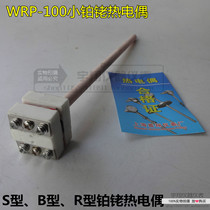 Platinum Rhodium Thermocouple WRP-100 S 8*200 S Type Small Platinum Rhodium Thermocouple K Sensor Thermal Resistance