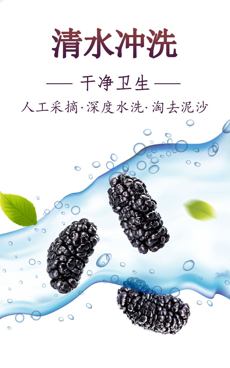 暖民 免洗攀枝花头茬黑桑葚干 1000g 图3