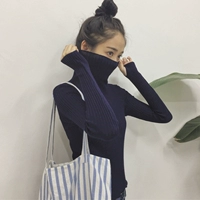 Mùa thu đông quần áo mới màu rắn Áo len mỏng cổ cao hoang dã Áo len cổ lọ áo sơ mi nữ sinh viên thủy triều quần áo nữ 