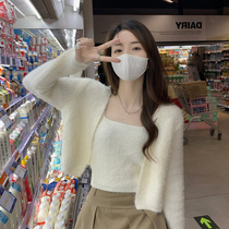 Water Mink Suede Jacket Woman Spring Autumn 2022 New Small Subshort Foreign Air Cardio-hoodie Warm Soft Glutinous Sweater Two-piece Set