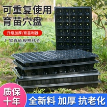 Hole tray seedling tray forest tree succulent vegetable plastic seedling tray tray cultivation basin balcony home planting