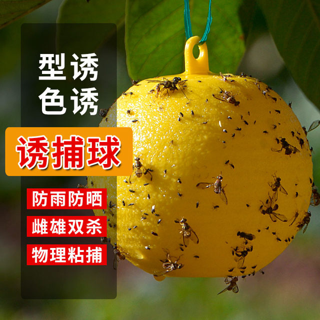 Armyworm Ball Luffa Fruit Fly Sticker Fly Ball Needle Bee Wasp Color Attractant Fruit Fly Trap Double-sided Yellow Board Paper