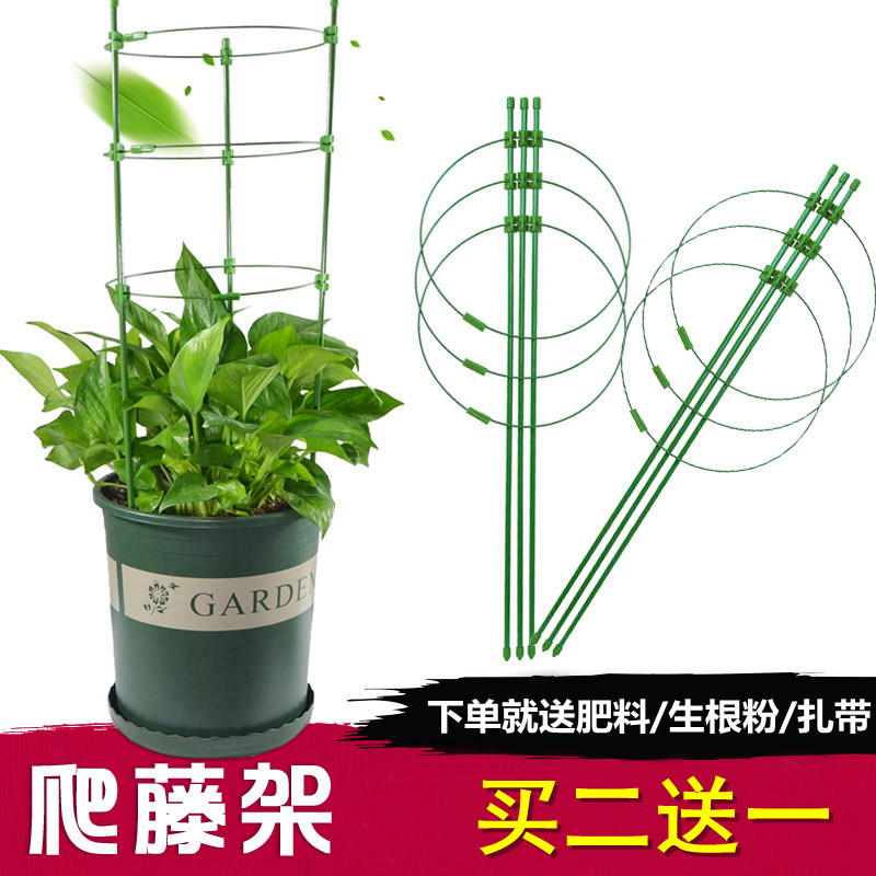 園藝花支架家用爬藤架室內盆栽植物黃金葛固定鐵環花架月季花支柱