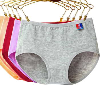 5 pairs of extra fat plus size fat mm200 women's underwear