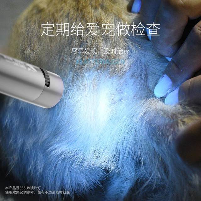 Smiling Shark Multifunctional Feline Ringworm Pen Light 365Nm Uv Light Currency Detector Infrared Cartoon Cat Teaser Emergency Lighting