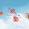 Товары от 幸福站婚庆