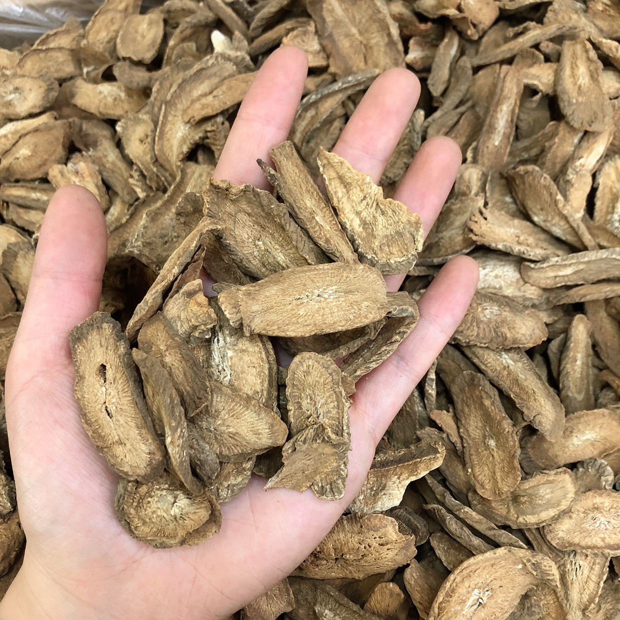 Burdock root 500g authentic gold Burdock Root Dry Slice Liver Fire Tea Bull root Another Cassiae is fully furnished