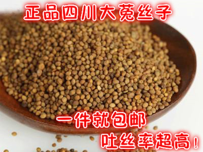Chinese herbal medicine dodder Sichuan dodder giant dodder to raise raw tea 500g limited-time promotion-Taobao