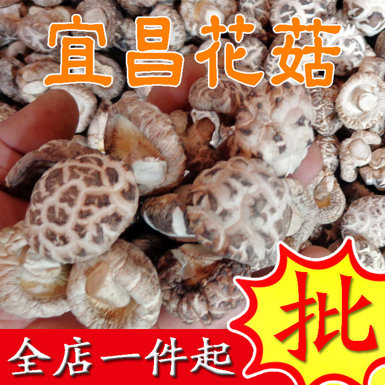 Shiitake Mushrooms Shiitake Mushrooms 1 catties