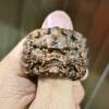 Indonesian Agarwood Lucky Pixiu Finger Ring Kowloon Opera Pearl Men's Ring Palace Retro Toy Handpiece