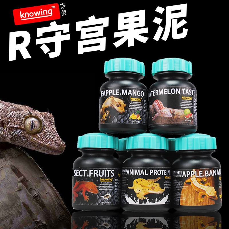 Knowing Noyin Eyelash Fruit Puree R Is a Food for Geckos, Giant Lizards, and Other Reptiles, Mixed with Insects and Fruits