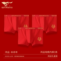 97783-3 (3 установки эластичного хлопкового нижнего белья)