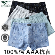 Seven wolves mens underwear cotton boxer personality trend Youth big size boys shorts breathable boxer pants men