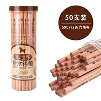 S907 [50 поддержки/цилиндры] шестиугольные полюсы 2b