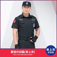 Летняя короткая тренировочная форма (одиночная вершина) без маркировки наклеек